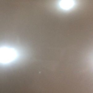 Meet your Posher, Harrison